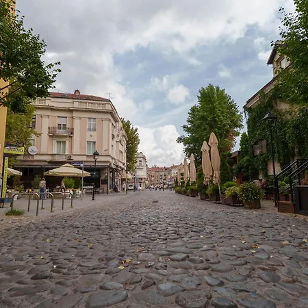 Boem Skadarlija Parking 아파트 *