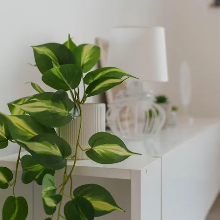 Appartement Boem Skadarlija Parking *