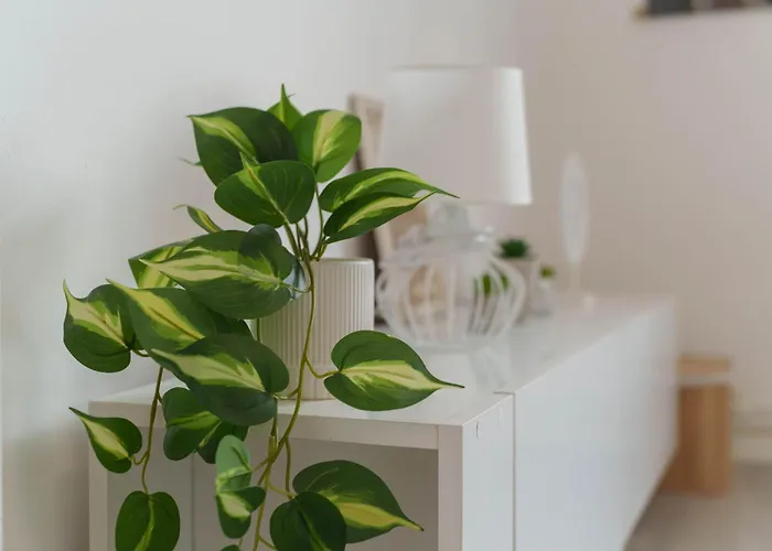 アパート Boem Skadarlija Parking *